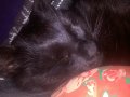 WP_20160514_001.jpg